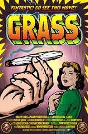 grass 1999