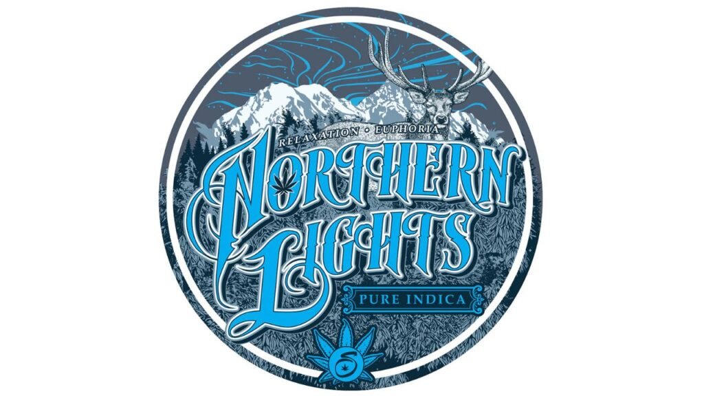northern lights