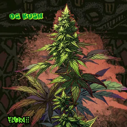 OG Kush