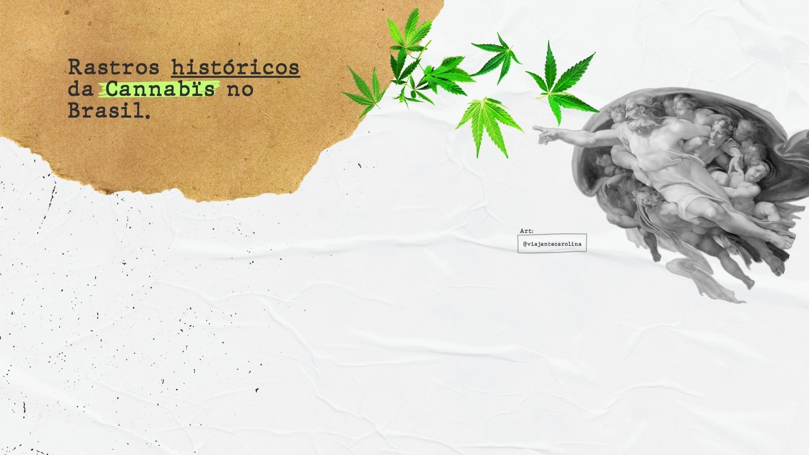 cannabis