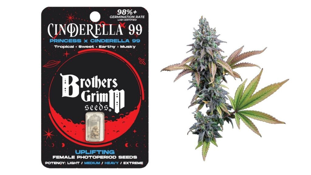 cinderella 99