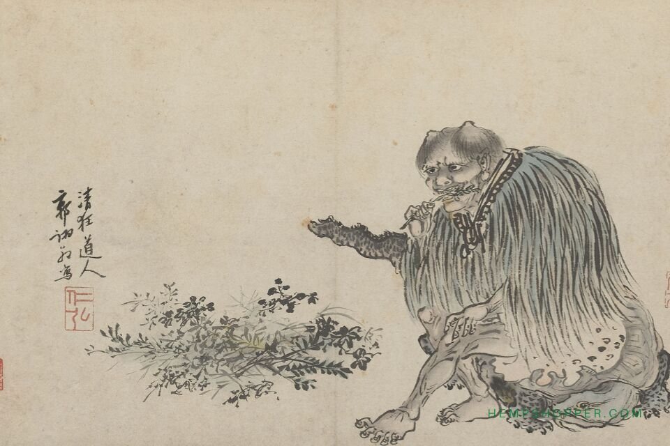 pen tsao cannabis