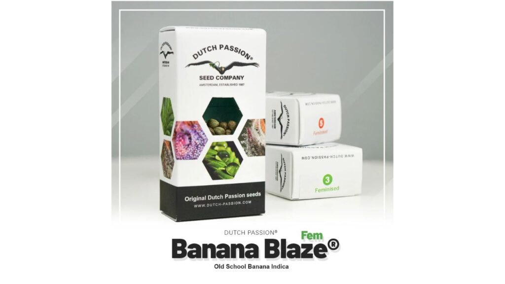 banana blaze